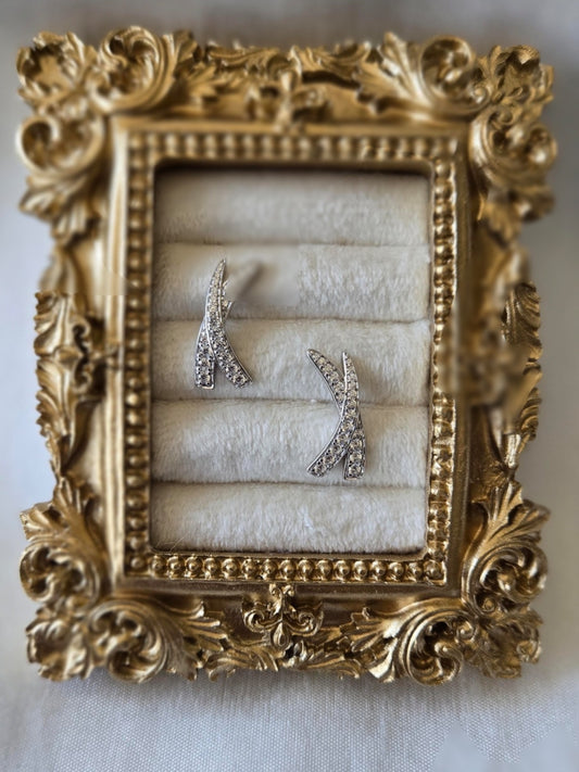 Kaleigh Sterling Silver Earrings